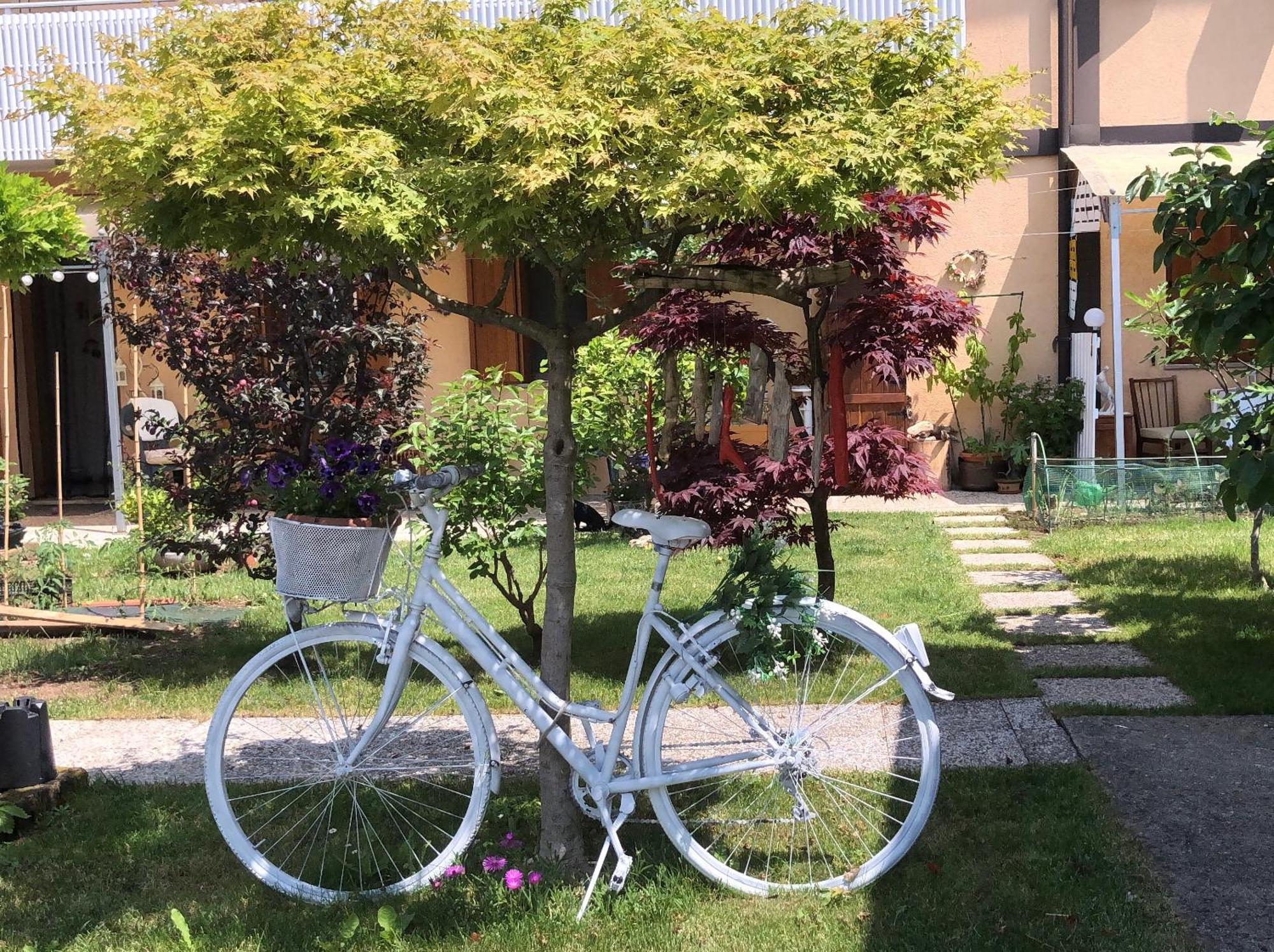 Bed and Breakfast Sensory Garden à San Daniele del Friuli Extérieur photo